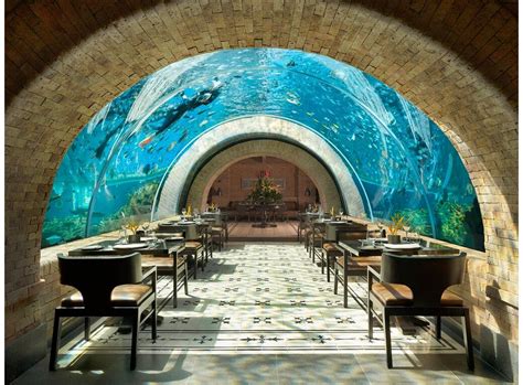 Housed inside an aquarium the Koral Restaurant in Bali is the most instagrammable restaurant in ...