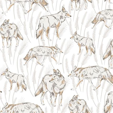 Coyote Wallpapers - 4k, HD Coyote Backgrounds on WallpaperBat