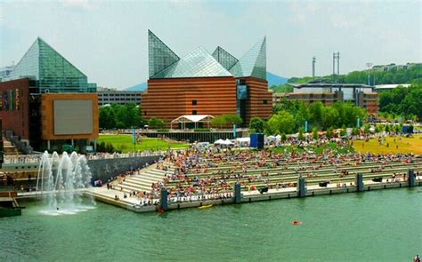 Aquarium, Chattanooga | Tennessee aquarium, Tennessee aquarium chattanooga, Chattanooga aquarium