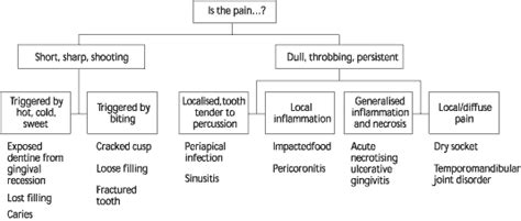 Referred Tooth Pain Chart