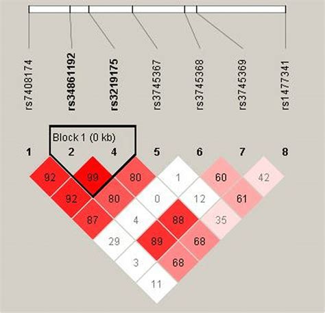 Haplotype block map for the eight SNPs in the RETN gene. Block 1... | Download Scientific Diagram