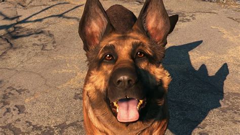 Dogmeat (Fallout 4) | Fallout Wiki | FANDOM powered by Wikia