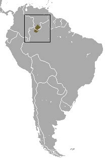 Neblina uakari - Wikipedia