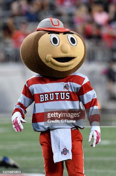 Ohio State Buckeyes Mascot Photos and Premium High Res Pictures - Getty ...