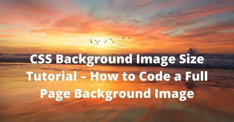 CSS Background Image Size Tutorial – How to Code a Full Page Background ...