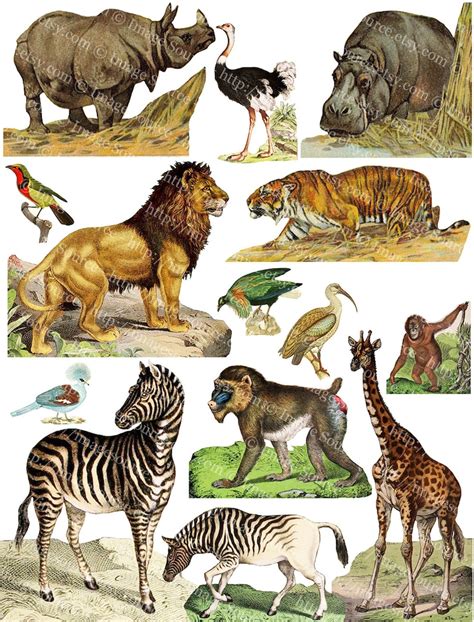 Printable Safari Animals