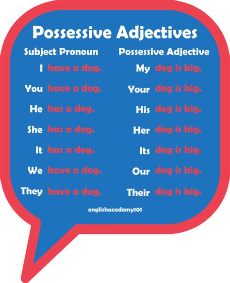 شرح possessive adjectives | موقع صيدليتي