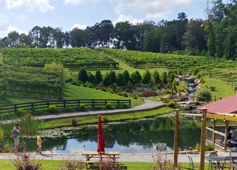 Big Door Vineyards Daily Wine Tastings | Ga Mountains Guide