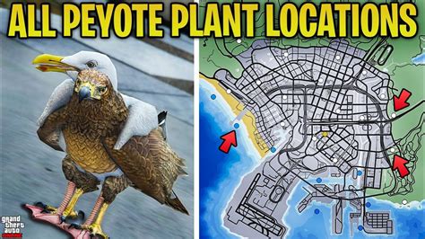 GTA Online - How to Play As ANIMALS + FULL Peyote Plant Map Locations - YouTube