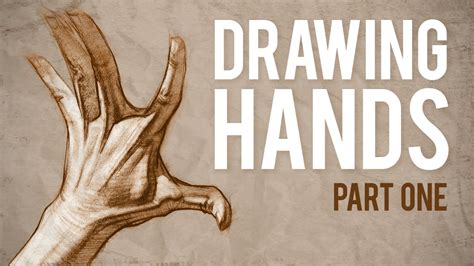 How to Draw HANDS - Muscle Anatomy of the Hand - YouTube