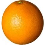 Orange Color Meaning – The Color Orange