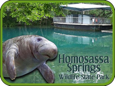 Homosassa Springs Wildlife State Park Florida With Manatee - Etsy