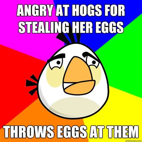 7 Best Angry Birds Memes For A Laugh