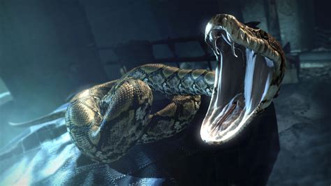 Nagini's venom | Harry Potter Wiki | FANDOM powered by Wikia