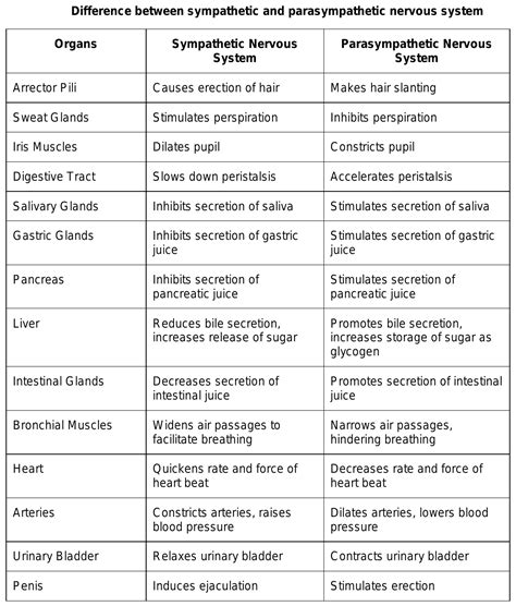 Can this be the difference between sympathetic parasympathetic nervous ...