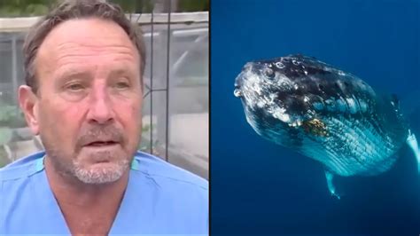 Man who survived being swallowed whole by whale says last thought was his ‘wife and kids’ - News ...