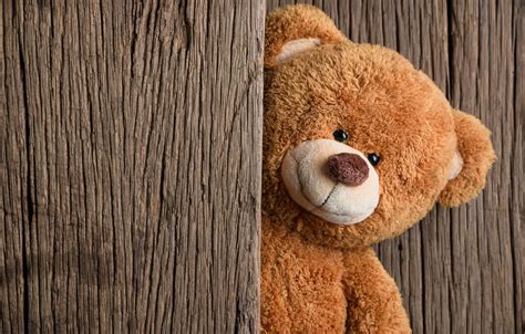 Wallpaper toy, bear, bear, wood, teddy bear, cute images for desktop ...