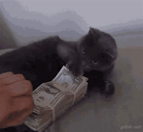 My Money Mine GIF - MyMoney Mine Money - Discover & Share GIFs