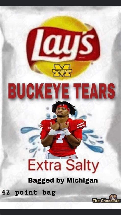 Ohio State Meme Dump... Free to steal! : r/MichiganWolverines