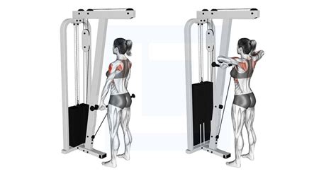 Cable Upright Row - Guide, Benefits, and Form