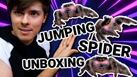 UNBOXING MY NEW PET JUMPING SPIDER! - YouTube