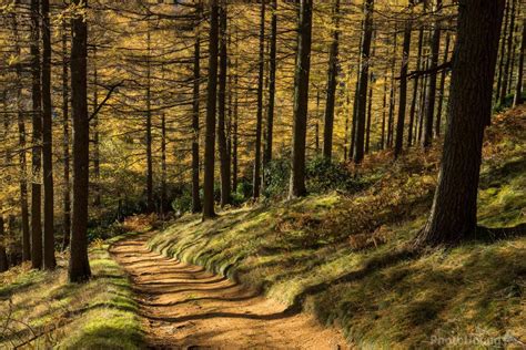 Image of Derwent Reservoir by James Grant | 10113