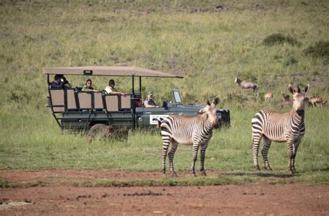 priceless™ | See Africa's wild side at Bothongo Rhino & Lion Nature Reserve: In Krugersdorp ...