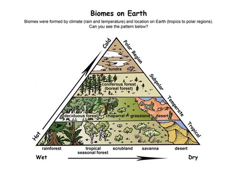 How does the tundra differ from other biomes? | Socratic