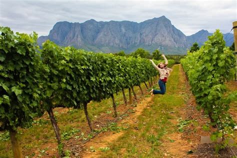 South African Wine Country – The Travel Bite