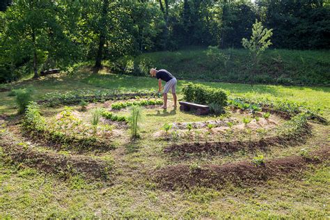 Why You Should Start A Mandala Garden and How To Build One