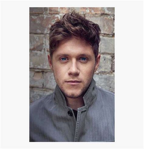 Flicker Poster - Niall Horan Flicker Deluxe Album PNG Image | Transparent PNG Free Download on ...