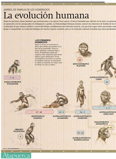 Evolución de la especie humana. Evolución del hombre