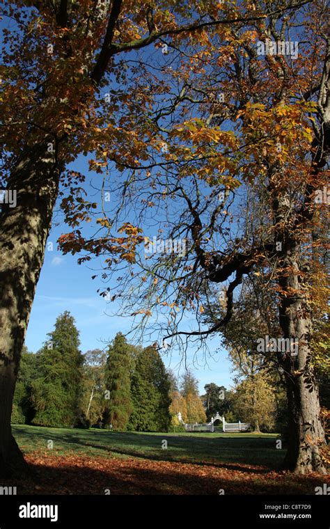 Cholmondeley Castle Gardens. Autumnal view of Cholmondeley Castle gardens Stock Photo - Alamy