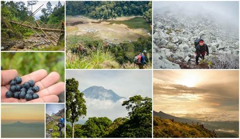 Exploring Mt. Apo’s Kapatagan-Kidapawan Trail | WayPH.com