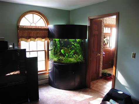 New 90 gallon bow front tank. | The Planted Tank Forum