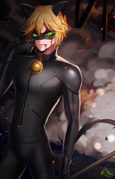 Share 77+ miraculous cat noir anime - in.coedo.com.vn