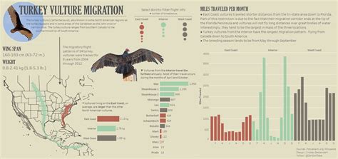 Week 4: Migration of Turkey Vultures in North and South America ...