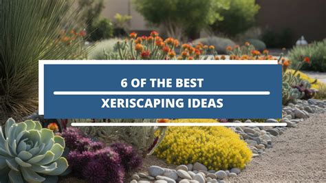 What Is Xeriscaping? (+ 6 Examples) - Wilson Exteriors