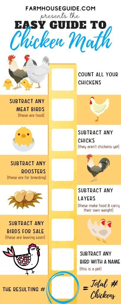 Chicken Math Explained - Calculating Your True Number of Chickens - Farmhouse Guide