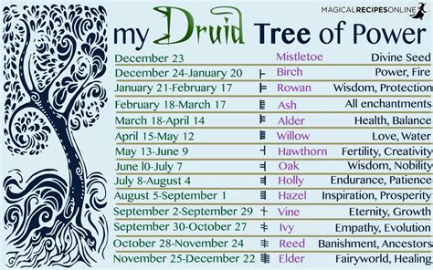 Druid's Magical Trees of the Year - Celtic Astrology - Magical Recipes ...