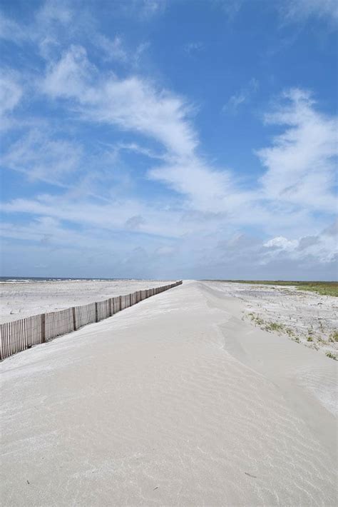 Barrier Islands and Headland Beaches – Habitat Restoration