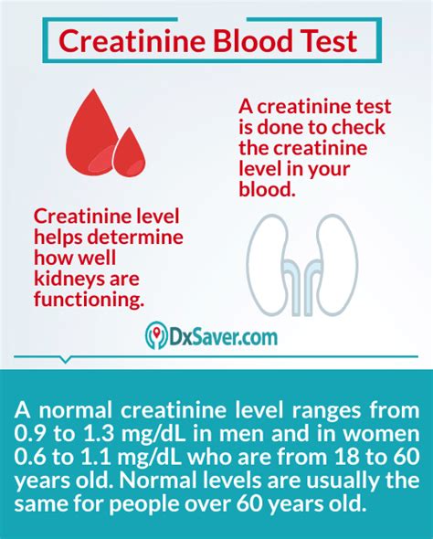 What is a Creatinine Blood Test? | Also know about Creatinine Test Cost ...