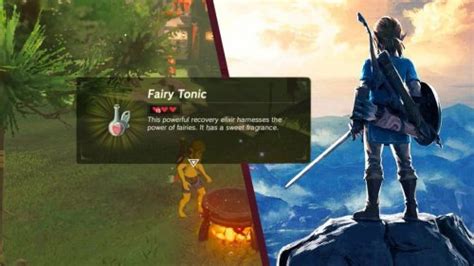 Fairy Tonic BotW | A Full Guide | Flipboard