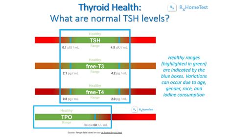 Normal TSH Levels: What’s Normal & Why? | RxHomeTest: At-Home Health Tests