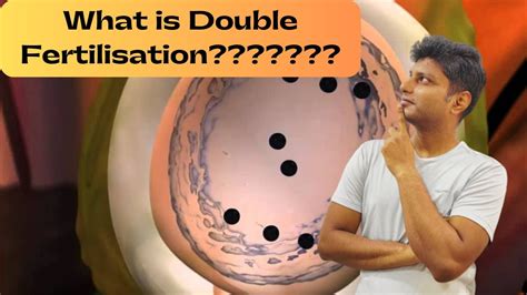 What is Double Fertilization???? - YouTube