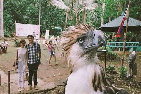 Davao City Tour W/ Philippine Eagle