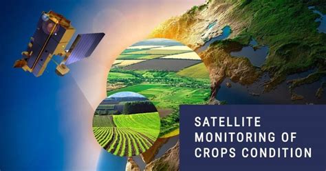 Satellite Image Based Crop Type Identification - ITware