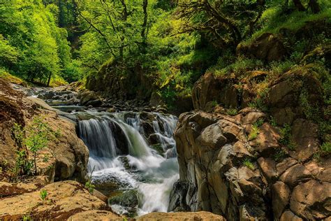 Explore Lankaran's nature reserves | Azerbaijan Travel