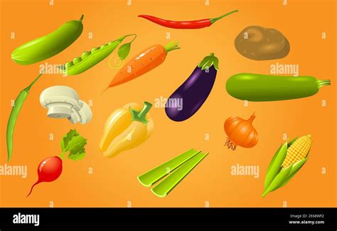 vegetable vector art Stock Vector Image & Art - Alamy