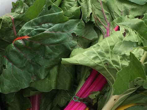 7 Health Benefits Of Chard